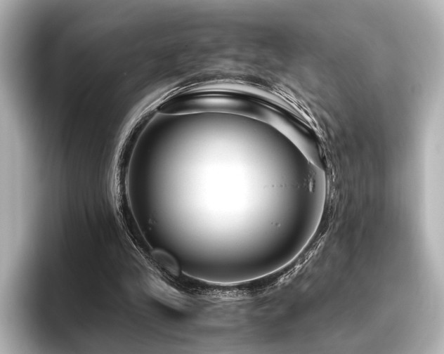 X0000096480245200801241450