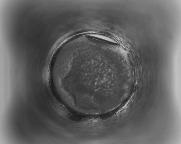 X0000096480247200801241450