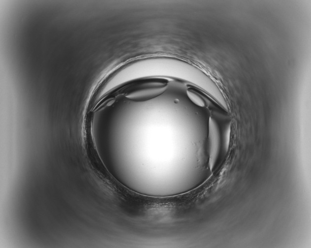 X0000096480248200801241450