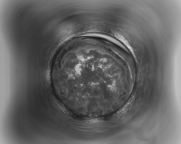 X0000096480249200801241450