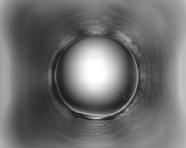 X0000096480250200801241450