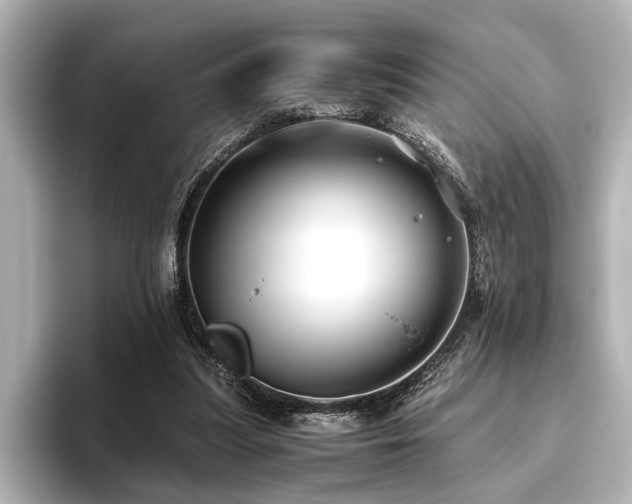 X0000096480251200801241450