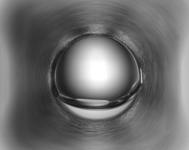 X0000096480252200801241450