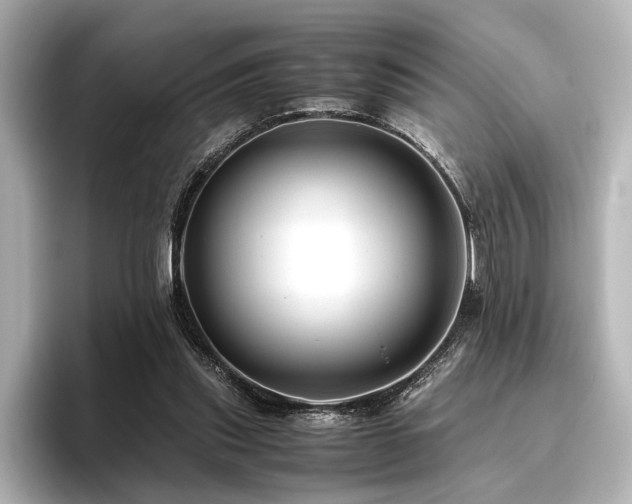 X0000096480253200801241450