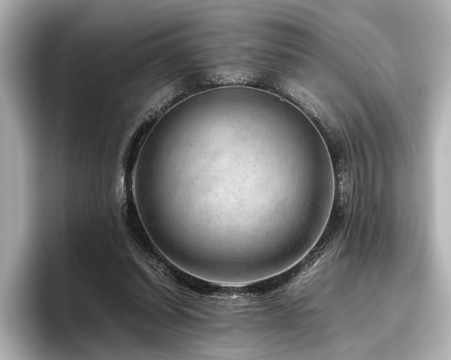 X0000096480254200801241450