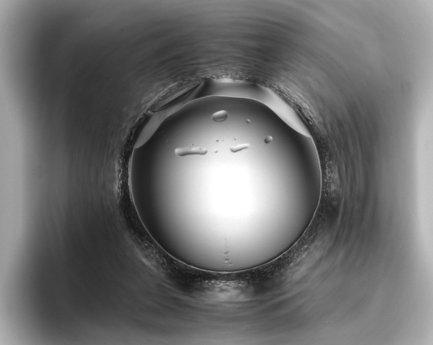 X0000096480255200801241450