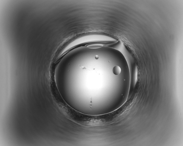 X0000096480256200801241450