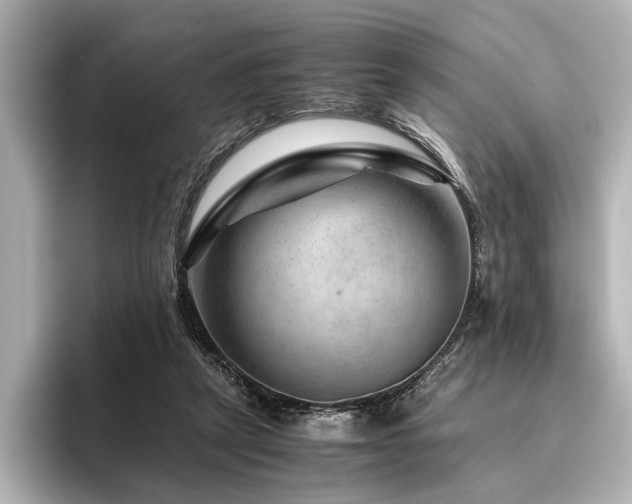 X0000096480257200801241450