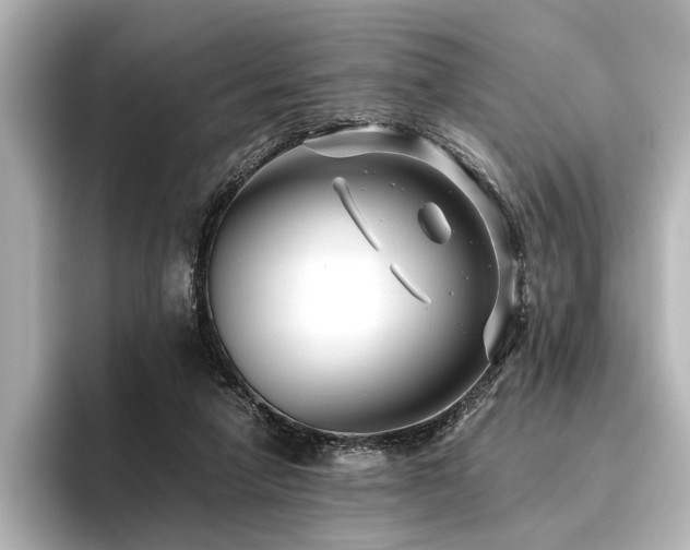 X0000096480258200801241450