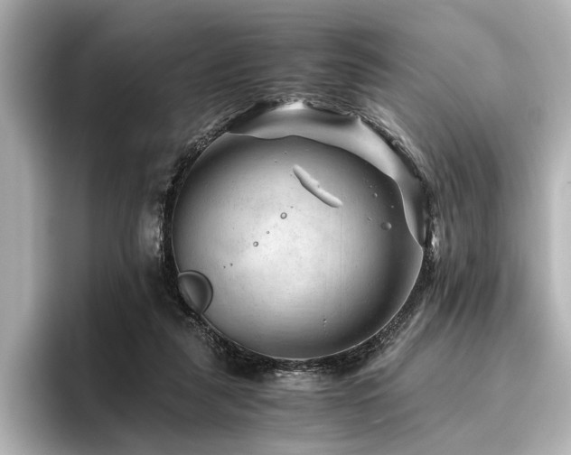 X0000096480259200801241450