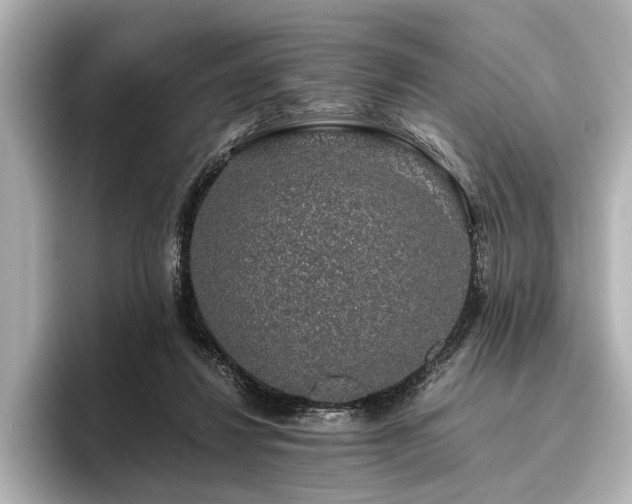 X0000096480260200801241450