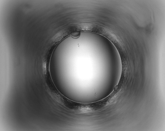 X0000096480262200801241450