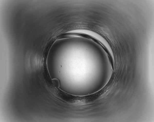 X0000096480263200801241450