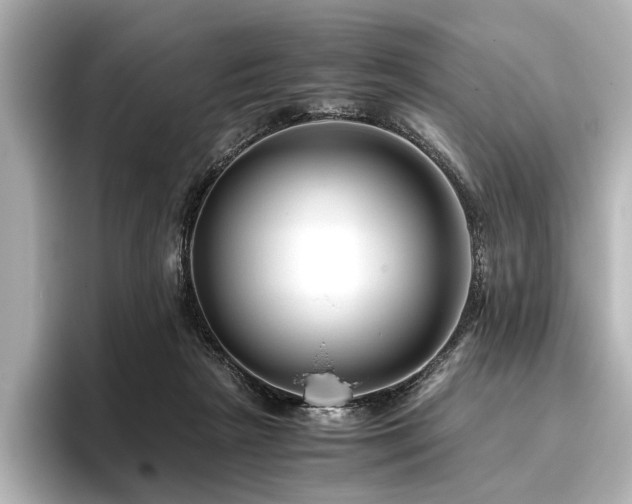 X0000096480265200801241450