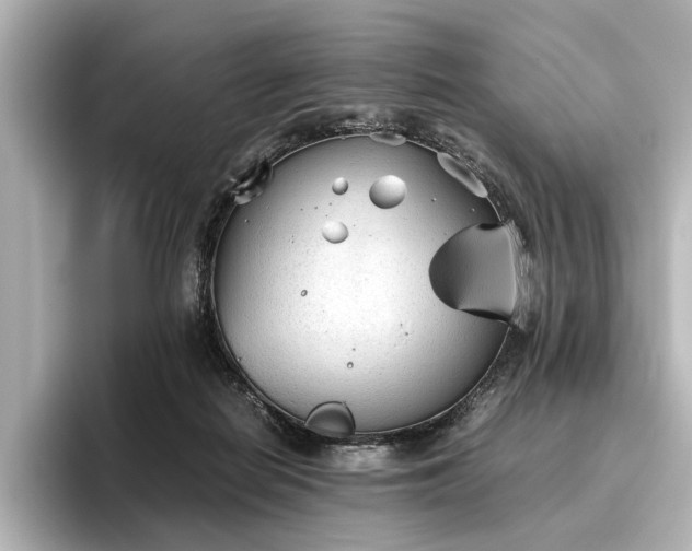 X0000096480266200801241450