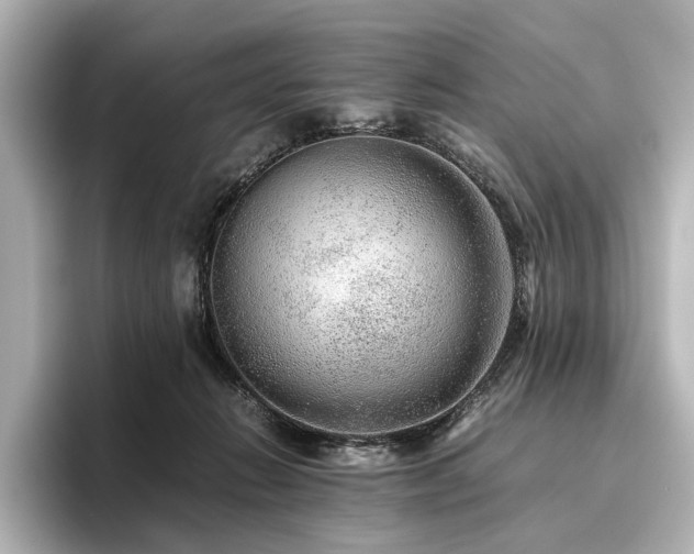 X0000096480270200801241450