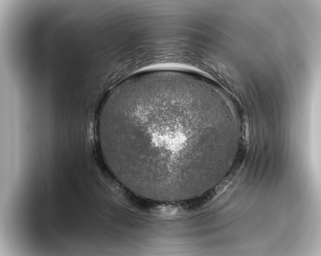 X0000096480272200801241450