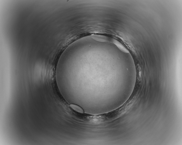 X0000096480273200801241450