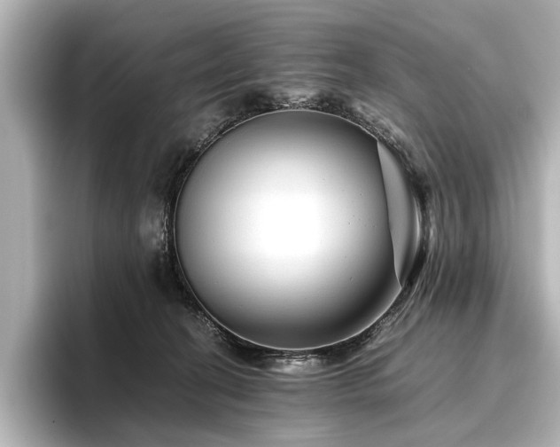 X0000096480274200801241450