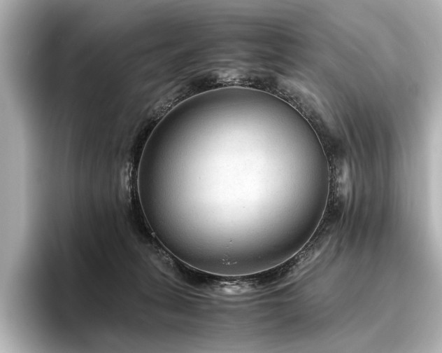 X0000096480275200801241450