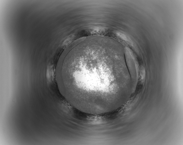 X0000096480276200801241450