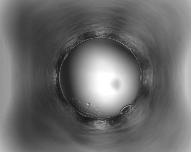 X0000096480279200801241450