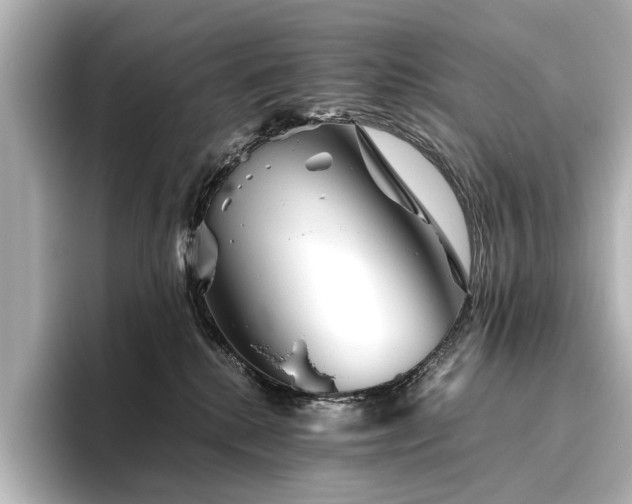 X0000096480280200801241450