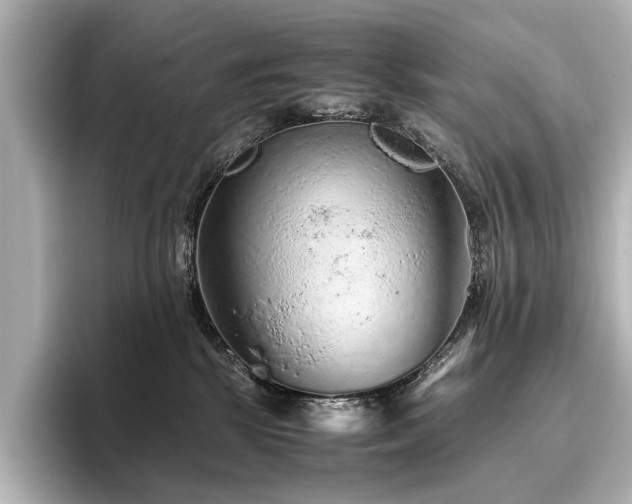 X0000096480281200801241450