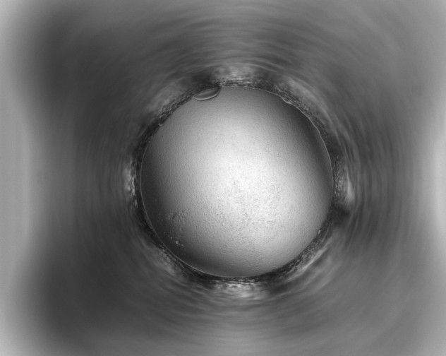 X0000096480282200801241450