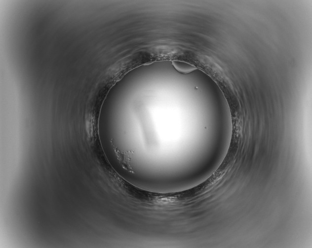 X0000096480283200801241450