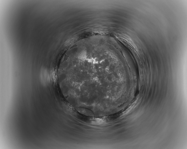 X0000096480285200801241450