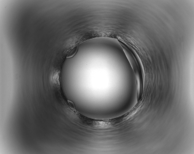 X0000096480286200801241450