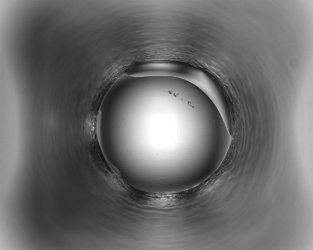 X0000096480288200801241450