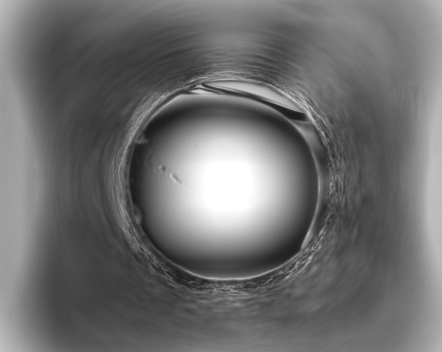 X0000096480289200801241450