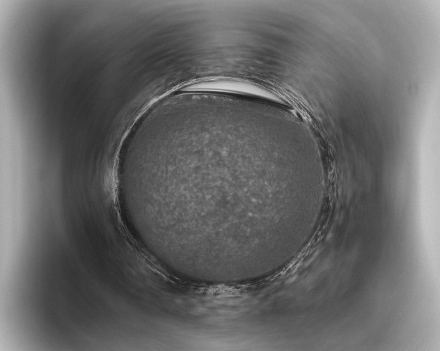 X0000096480290200801241450