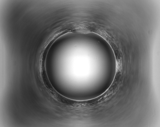 X0000096480291200801241450