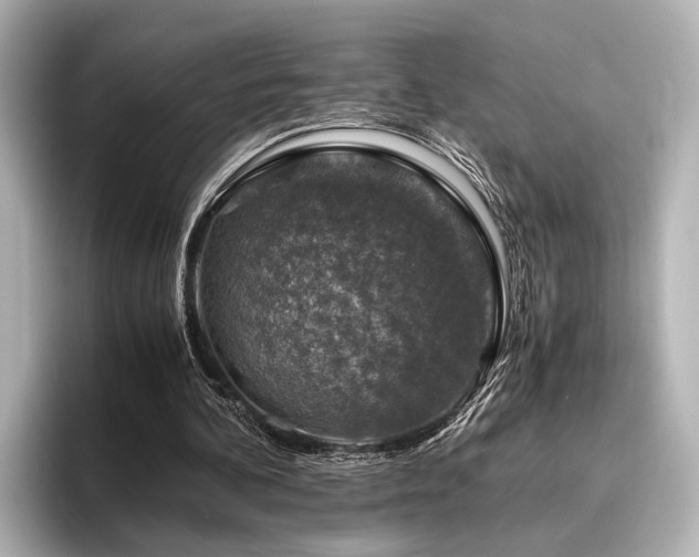 X0000096480292200801241450