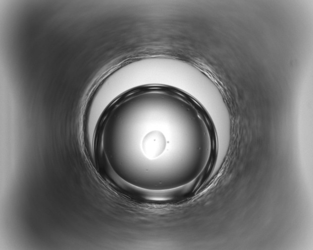 X0000096480293200801241450