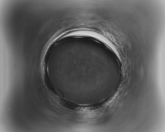 X0000096480295200801241450