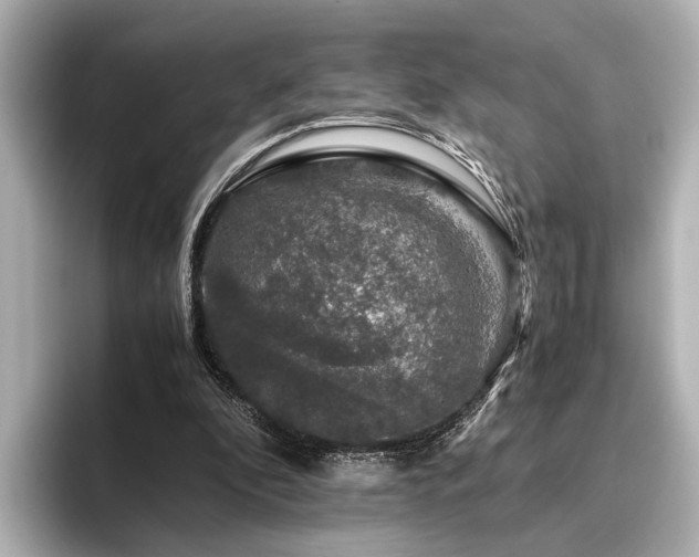 X0000096480296200801241450