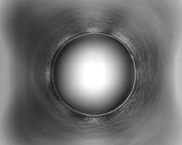 X0000096480297200801241450