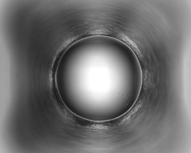 X0000096480298200801241450