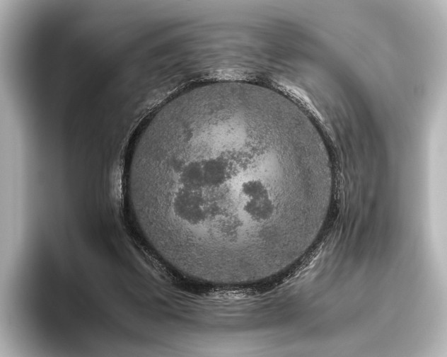 X0000096480299200801241450