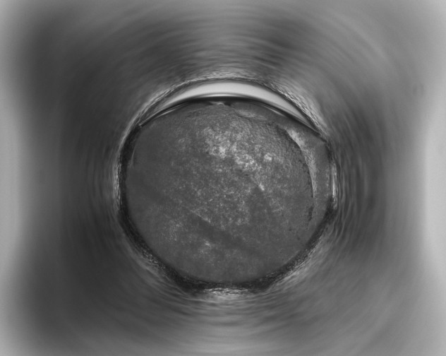 X0000096480300200801241450