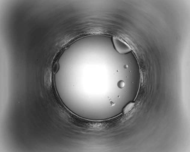 X0000096480301200801241450