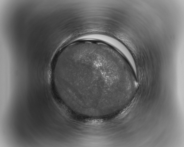 X0000096480304200801241450