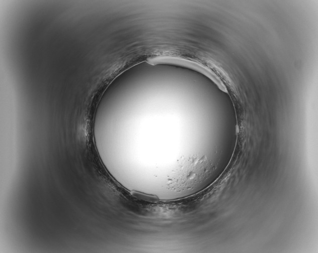 X0000096480305200801241450