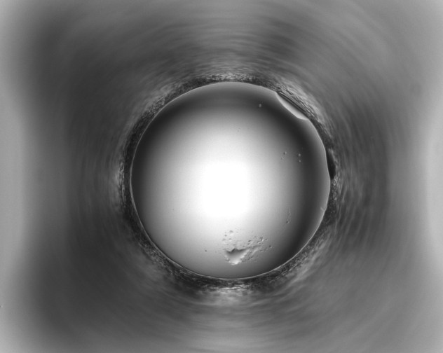 X0000096480306200801241450