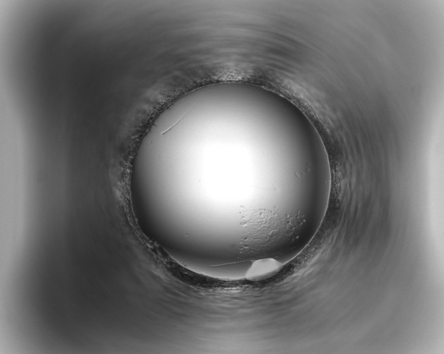 X0000096480307200801241450