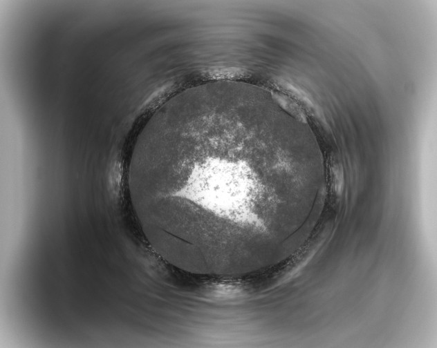 X0000096480308200801241450